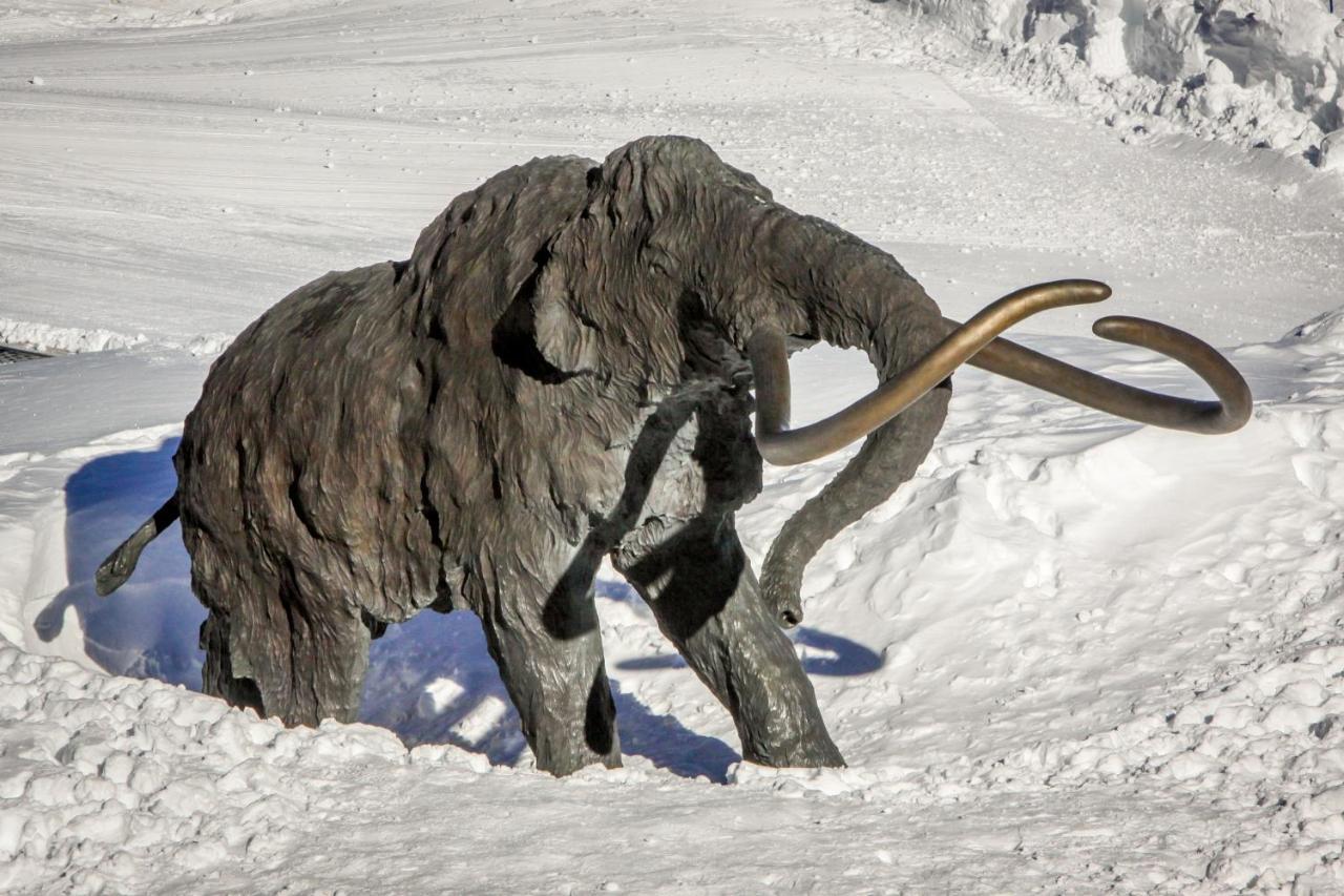Apartmán Sierra Megeve Mammoth Lakes Exteriér fotografie